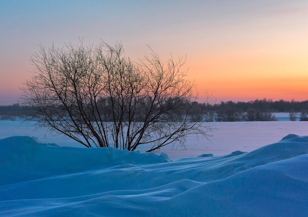 雪の真っ只中の冬の朝