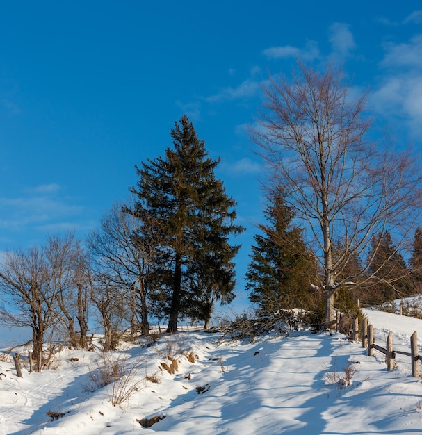 Winter morning mountain rural snow covered path