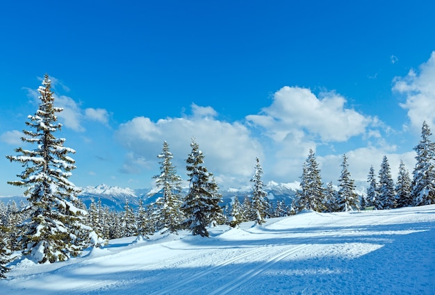 Winter mountain fir forest snowy landscape (top of Papageno bahn - Filzmoos, Austria)