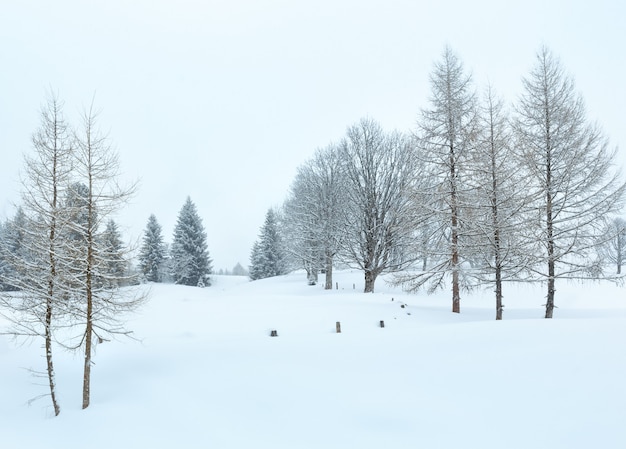 冬の山の霧の鈍い日雪の風景