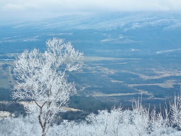 Winter mountain landscape Forest and mountains covered with snow