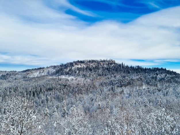 Winter mountain landscape Forest and mountains covered with snow