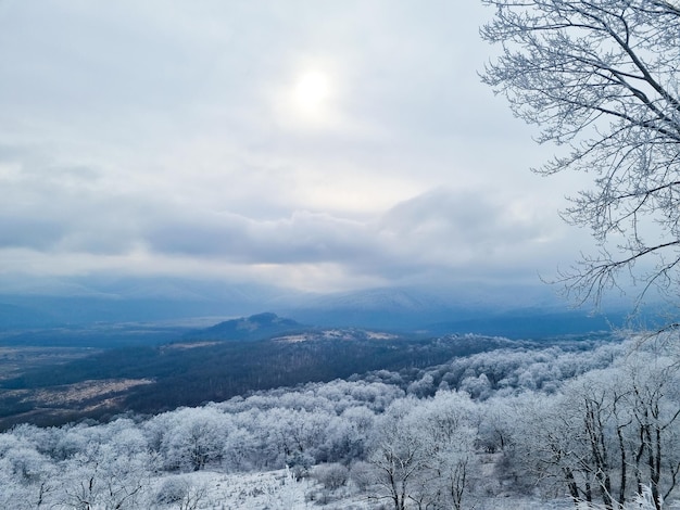 겨울 산 풍경 눈으로 덮인 숲과 산