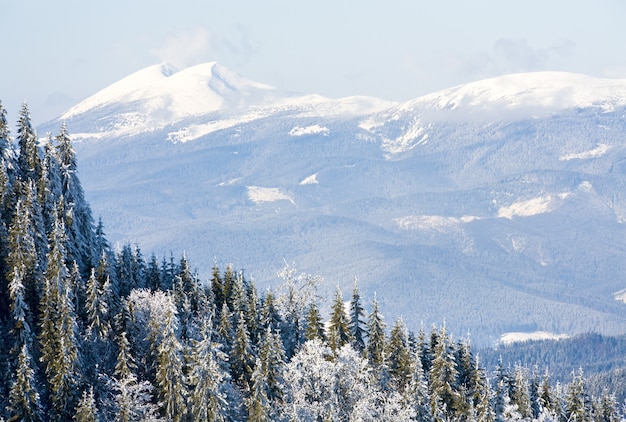 사진 겨울 산 풍경(bukovel 스키 리조트(우크라이나)에서 syvulja 산까지의 전망)