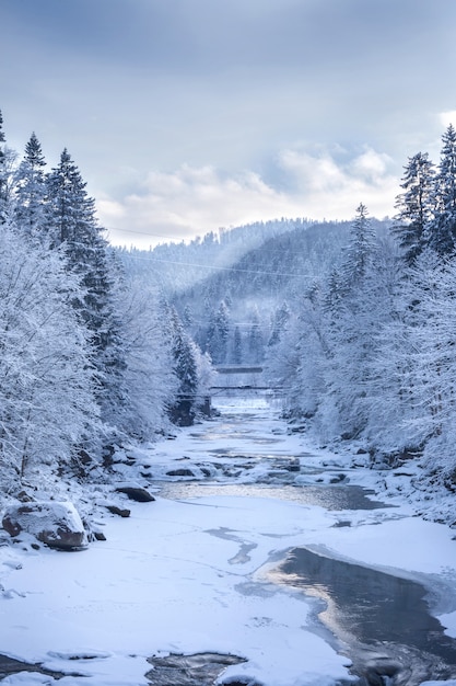 Фото Зимний горный пейзаж с замерзшей рекой и снегом