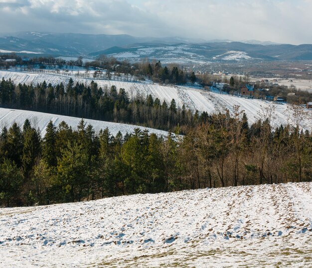 Winter mountain landscape with field grove and village in far