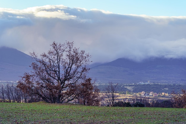 Winter mountain landscape with leafless trees and rustic houses at the foot of the mountain.