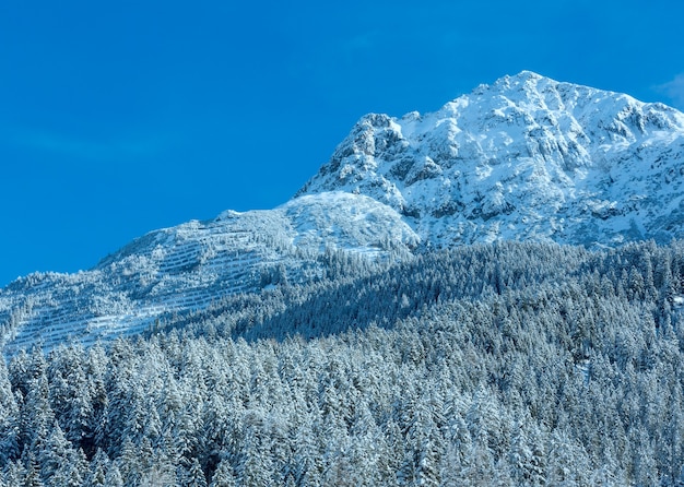 슬로프 (오스트리아, 티 롤)에 눈 덮인 전나무 숲과 겨울 산 풍경.