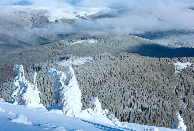 正面の斜面に雪に覆われた木々と冬の山の風景