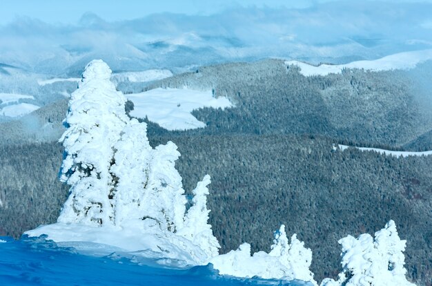 Winter mountain landscape with snowy trees on slope in front