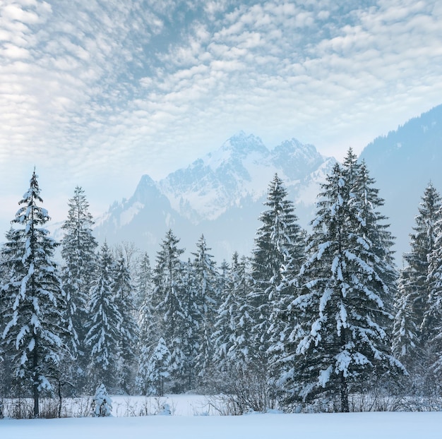 写真 冬の山の風景