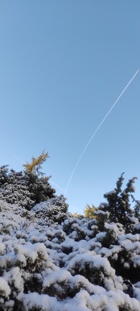 Photo winter mountain landscape