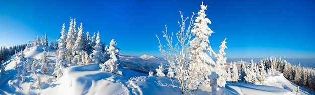 Panorama montano invernale