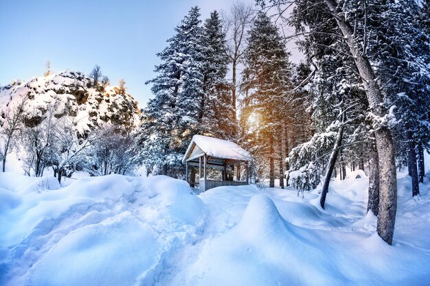 Winter mountain scenery