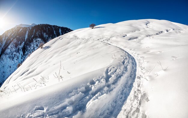 Winter mountain scenery