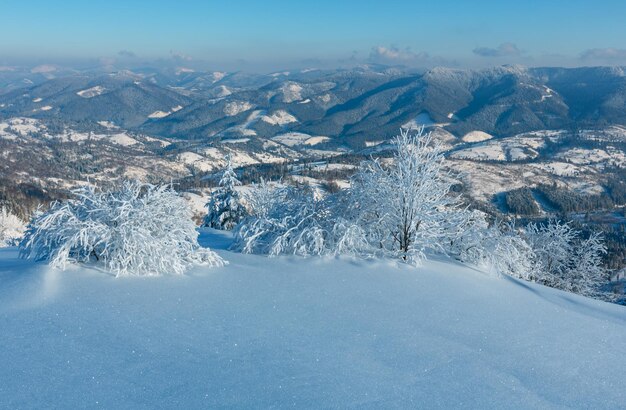 Paesaggio innevato di montagna d'inverno