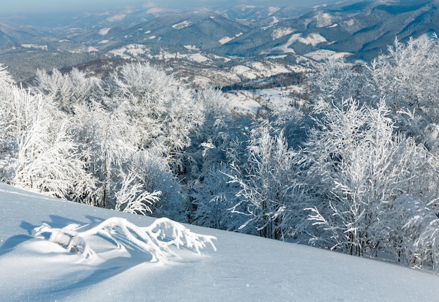 冬の山の雪景色