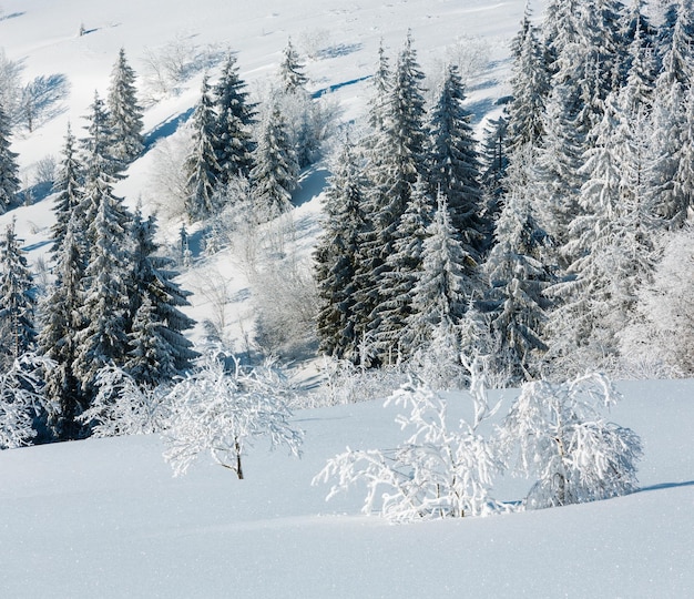 冬の山の雪景色