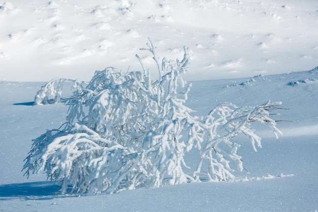 冬の山の雪景色