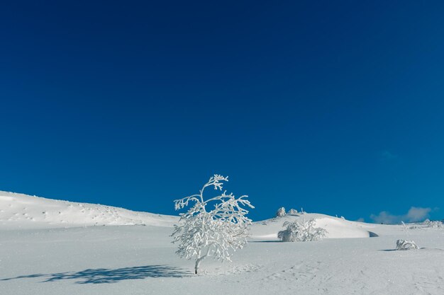 冬の山の雪景色