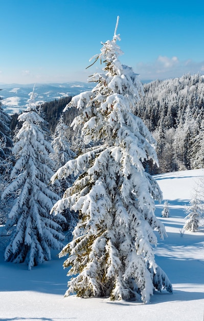 冬の山の雪景色