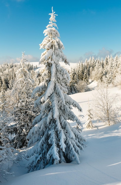 Winter mountain snowy landscape