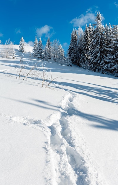 Winter mountain snowy landscape