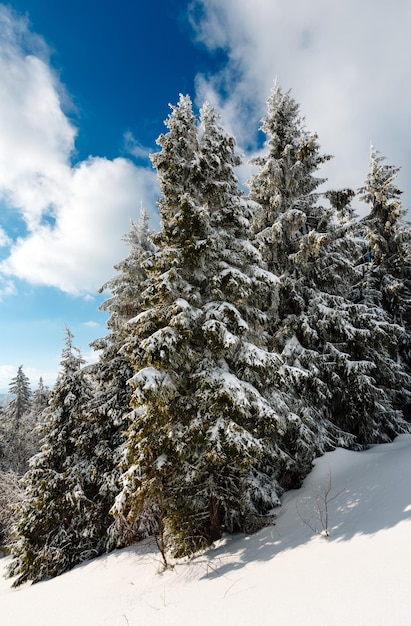 Winter mountain snowy landscape