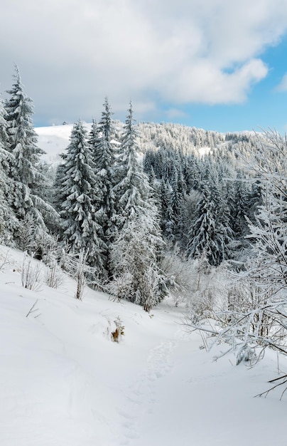 Winter mountain snowy landscape