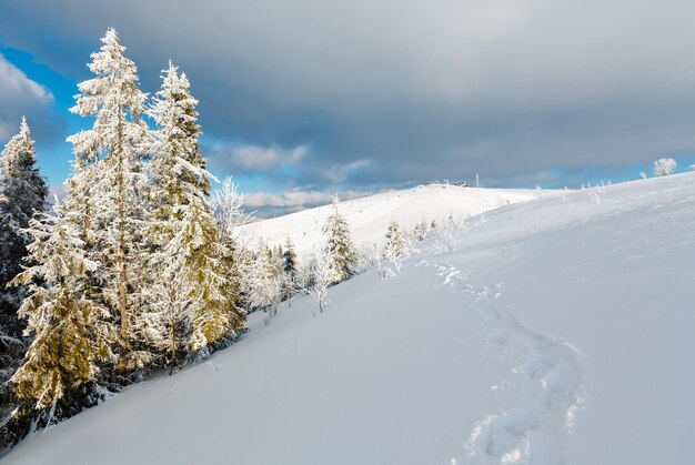 Winter mountain snowy landscape