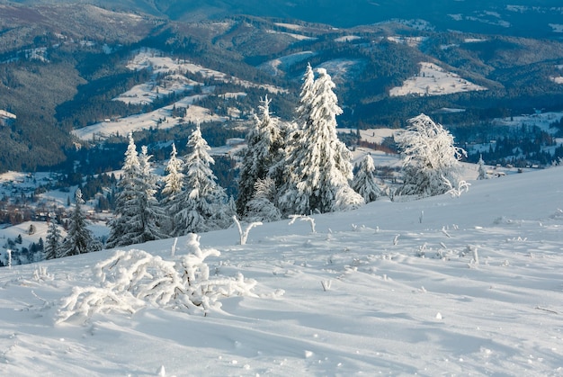 冬の山の雪景色