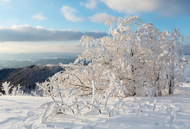 Winter mountain snowy landscape