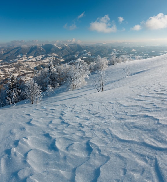 冬の山の雪景色
