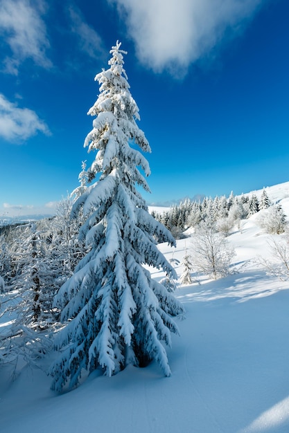 Winter mountain snowy landscape