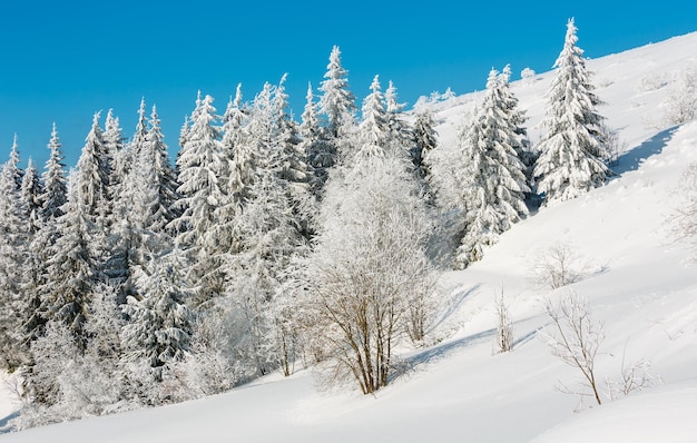 冬の山の雪景色