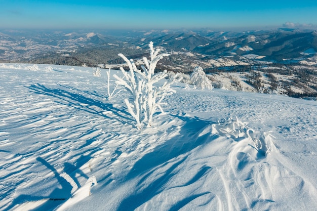 Paesaggio innevato di montagna d'inverno