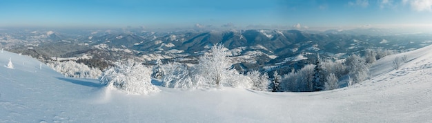 Paesaggio innevato di montagna d'inverno