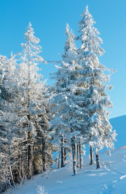 Foto paesaggio innevato di montagna d'inverno