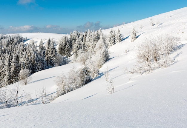 겨울 산 눈 덮인 풍경