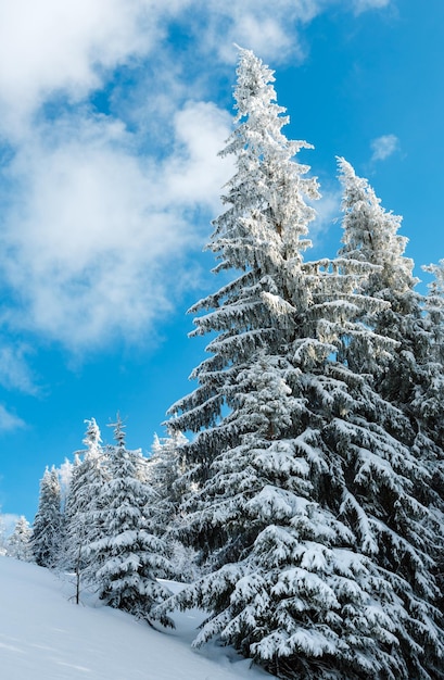 Paesaggio innevato di montagna d'inverno