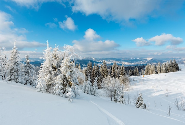 Paesaggio innevato di montagna d'inverno