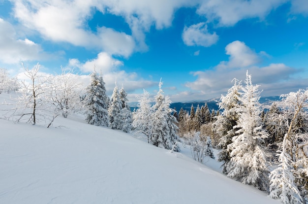 Paesaggio innevato di montagna d'inverno