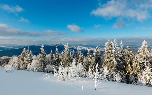 冬の山の雪景色