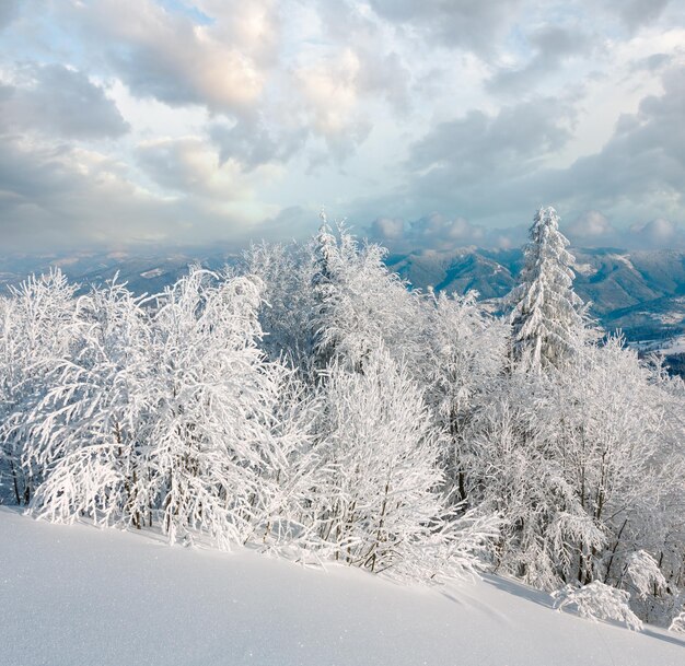 Фото Зимний снежный горный пейзаж