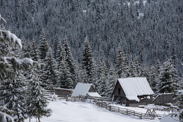 雪で覆われた家屋の冬の山の村の風景