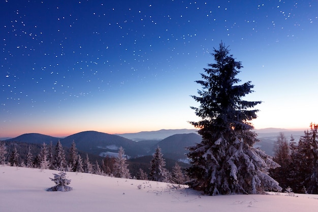 Winter mountains landscape Night landscape with stars on sky Amazing view at mountains and sky full of stars at night Beautiful winter night in mountains High quality photo