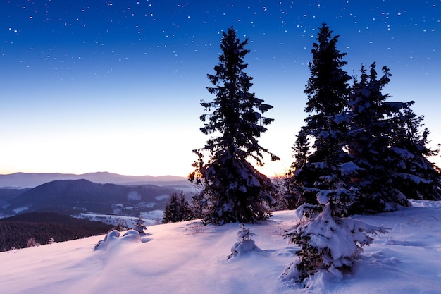 겨울 산 풍경 하늘에 별이있는 밤 풍경 밤에 별이 가득한 산과 하늘의 놀라운 전망 산의 아름다운 겨울 밤 고품질 사진