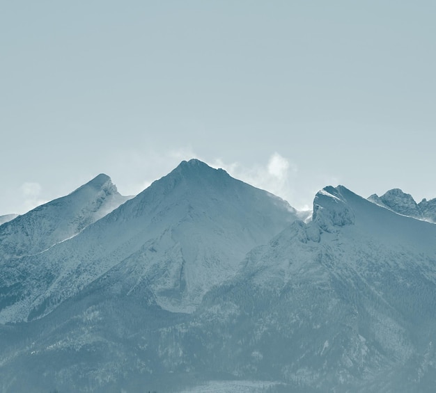 Панорама вершины зимних гор. Пейзаж горы, покрытой снегом. Драматический вид на замерзшую гору в Европе.