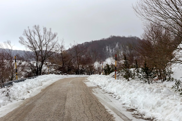 산속의 겨울 에피루스 지방 고원의 소나무 숲과 겨울 춥고 눈 덮인 날 시골길