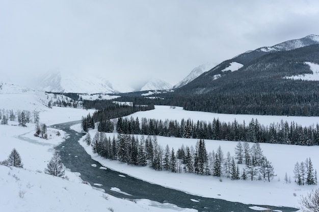 Winter in mountains. Snow landscape. Blizzard.